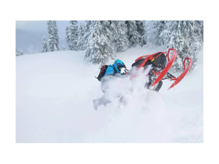 2022 Lynx BoonDocker DS 4100