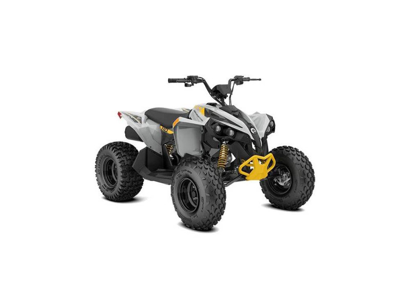 2025 Can-Am Renegade 110 EFI