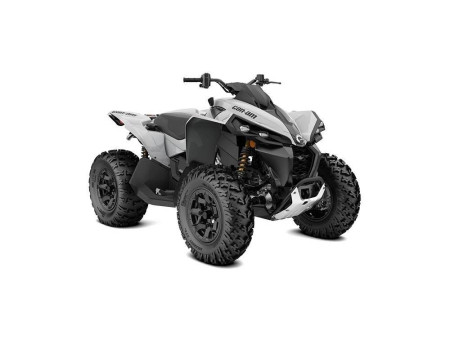2024 Can-Am Renegade 650 Gray