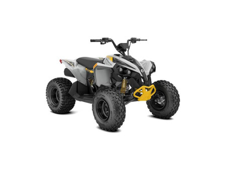 2024 Can-Am Renegade 110 EFI Gray & Yellow / Blue & Black