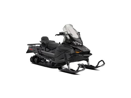 2025 Ski-Doo Skandic® LE 600 EFI 154 20